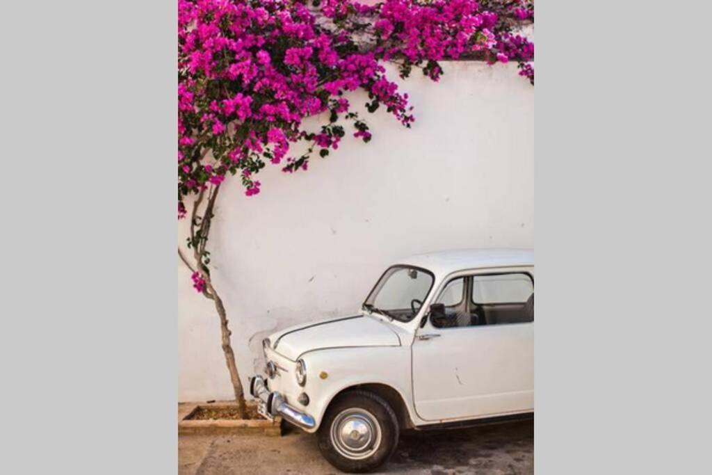 Mojacar Pueblo - Traditional Village House - The Old Jewish Quarter מראה חיצוני תמונה